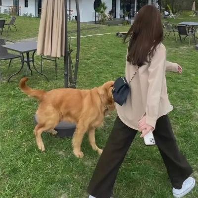 诱惑假期